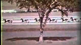 Hambletonian 1968 Nevele Pride [upl. by Kcuhc]