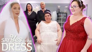 Most Unique Plus Size Wedding Dresses  Curvy Brides Boutique [upl. by Milton208]