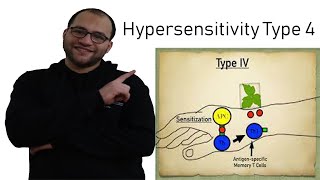 Hypersensitivity type 4 [upl. by Noid]