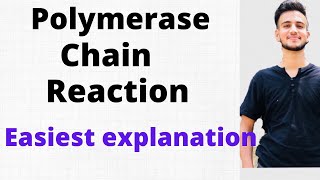 Polymerase Chain Reaction  PCR in Microbiology [upl. by Hardigg]