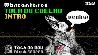 Toca do Coelho Bitcoin Introdução [upl. by Idmann]