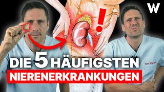 Nierenprobleme Das sind die 5 häufigsten Nierenerkrankungen Ursachen Anzeichen und Therapie [upl. by Ithsav803]