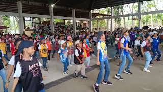 MAASIN CENTRAL ELEMENTARY SCHOOL FIELD DEMONSTRATION 2023 [upl. by Atwater939]