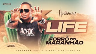 haddaway  Life  VERSÃO FORRÓ DO MARANHÃO  DJ Felipe Alves [upl. by Harden]