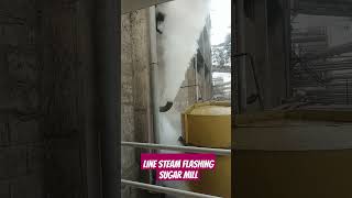 Steam trialSteam FlashingSugar mill ytshort [upl. by Retsae89]