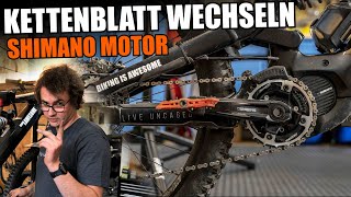 Kettenblatt am E Bike wechseln  Shimano Motor  YT DECOY Komplettservice [upl. by Hgeilhsa]