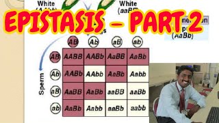 EPISTASIS PART 2  TAMIL EXPLANATION [upl. by Kepner]