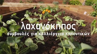 🥬 Καλλιέργεια λαχανικών και δημιουργία λαχανόκηπου  Τα Μυστικά του Κήπου [upl. by Lebanna]