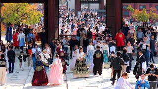 Gyeongbokgung Palace attracts a huge number of tourists [upl. by Ahsehat]