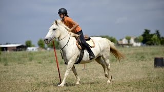 Stage prépa lamotte pony games Les outsiders [upl. by Sacksen]