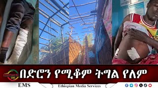 EMS በድሮን የሚቆም ትግል የለም Nov 2024 [upl. by Laurens]