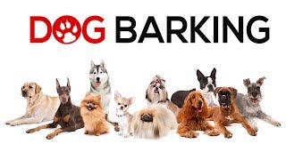 Dogs Barking Sounds To Make Your Dog REACT  34 Breeds Including Yours [upl. by Enenej]