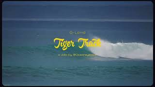 GLand  Surf Trip Java [upl. by Sadirah]