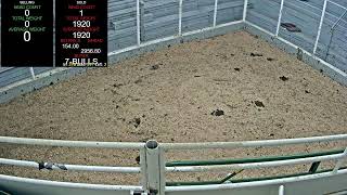 Everson Auction Market Live Stream 8192024 [upl. by Finny]