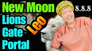 New Moon amp Lions Gate Portal in Leo Meaning Energy What to Do Numerology of 8 amp More [upl. by Barrett]