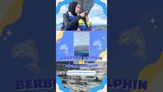 BERBURU DOLPHIN DI LOVINA BEACH BALI 🐬⛵ dolphin bali sea shorts [upl. by Samuella]