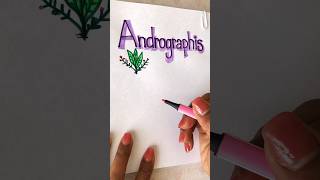 How To Write “Andrographis” in Thai shorts [upl. by Wanfried245]