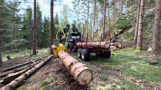 Skogsarbeid med Valtra a115 og Igland 380 tømmervogn Henter gammelt tømmer i skogen [upl. by Enorel]