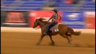 Daniela Picciotti Reining Highlights [upl. by Aramoiz585]