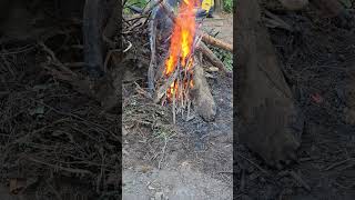 best way to start a burn pile when you have no torch or leaf blower burn burnpile firestarter [upl. by Enegue]