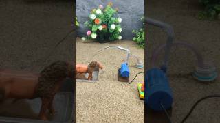 Mini motor pump science project mini tractor making cow water bathed  152 [upl. by Ocir]