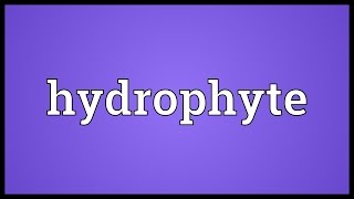 Hydrophyte Meaning [upl. by Nuawad]