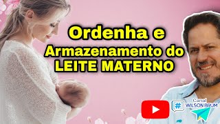 Armazenamento de LEITE MATERNO após ordenha  Como guardar quanto tempo dura o LEITE MATERNO [upl. by Aseek398]