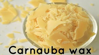 Carnauba Wax [upl. by Hcahsem343]