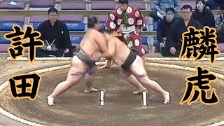 許田（二子山部屋）VS麟虎（怪我のシーンあり） 令和6年11月場2日目sumo 相撲 二子山部屋 [upl. by Yelrac963]