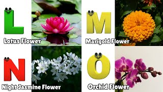 Flowers ABC Song  Flowers Alphabet Song  Phonics for Kids  English Alphabet Letters [upl. by Yerg]