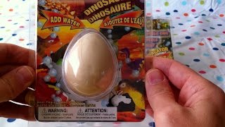 Watch 3 Dinosaur Egg Toys Break And Hatch Into 3 Baby Dinosaur Toys For Girls And Boys [upl. by Reniti621]