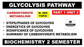 Glycolysis pathway  Carbohydrate Metabolism  Part 1 Unit 2  Biochemistry b pharm 2nd semester [upl. by Nakeber]