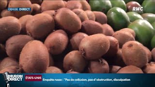 Lescroquerie des kiwis quotproduits en Francequot qui venaient dItalie [upl. by Lenssen]