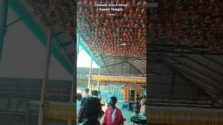 Krishna  Ulanadu Shri Krishna Temple shrikrishnagovindharemurari shorts trending song [upl. by Kendre]