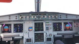 Cockpit View  Landing at Göteborg Landvetter AirPort GOT Airbus 319 [upl. by Aborn]