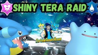 Live Shiny Ditto Pokemon Giveaway Tera Raids pokemon shinypokemon shorts [upl. by Oletha]