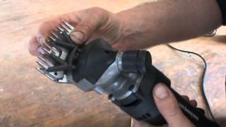 Shearing How to set up your Shearing Clipper with Comb and Cutter the easy way [upl. by Hartzell826]