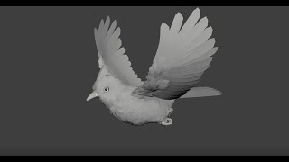 Bird Flying Animation [upl. by Anelrac]