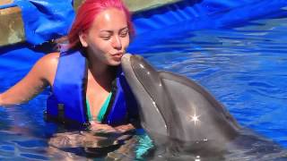 Puerto Vallarta Dolphin Adventure with Harley Tonelli and Vallarta Adventures [upl. by Adnerol956]