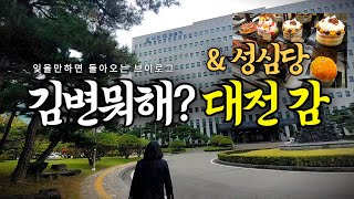 변호사 브이로그 👩‍⚖️대전 출장 대전고등검찰청 검사면담성심당 본점까지 [upl. by Epillihp]