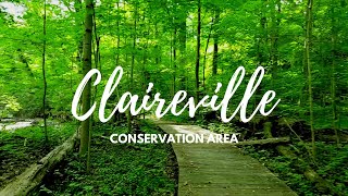 Hiking Ontario Claireville Conservation Area [upl. by Bernie592]