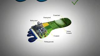 Ecological Footprint and Carbon Footprint Explained [upl. by Rollecnahc771]