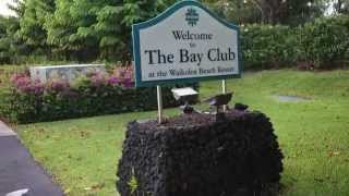 【HGVCオーナーの旅ログ】The Bay Club [upl. by Aoket]