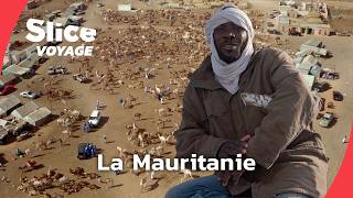 Mauritanie  Les Sentinelles du Désert I SLICE VOYAGE I Full Doc [upl. by Rozamond]