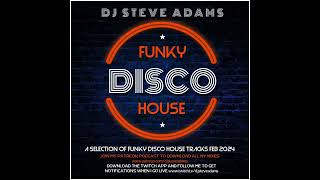 Funky Disco House Feb 2024 [upl. by Evatsug]