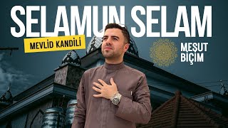 Selamun Selam Mevlid Kandili Özel Mesut Biçim ᴴᴰ  Zahidar [upl. by Norton273]