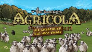 Agricola 15th Anniversary Big Box  Overview amp Thoughts [upl. by Akcemat]