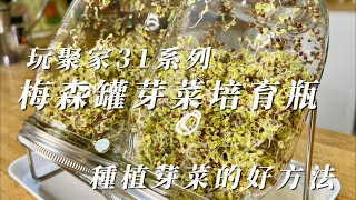 玩聚家31系列梅森罐芽菜培育瓶 種植芽菜的好方法 [upl. by Lias]