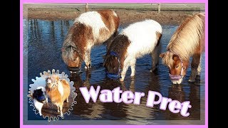 Water Pret Met Ivy Pancake En Popcorn  My Little Ponies [upl. by Yllah743]