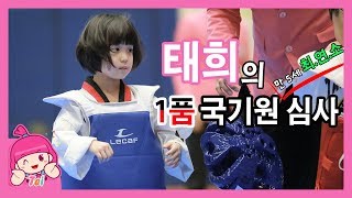 태권도태희 만 5세 최연소 국기원 1품 태권도 승품심사를 보다 ㅣ태희의 해피 하우스 태피하 [upl. by Zipporah]